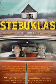 Чудо постер к фильму смотреть онлайн на HD Rezka