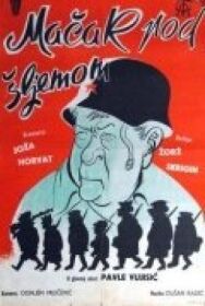 Кот под шлемом постер к фильму смотреть онлайн на HD Rezka