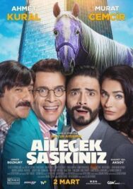 Безумная семейка постер к фильму смотреть онлайн на HD Rezka