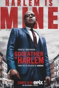 Крёстный отец Гарлема постер к фильму смотреть онлайн на HD Rezka
