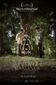 Малила: Прощальный цветок постер к фильму смотреть онлайн на HD Rezka
