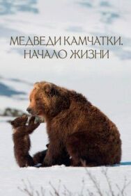 Медведи постер к фильму смотреть онлайн на HD Rezka