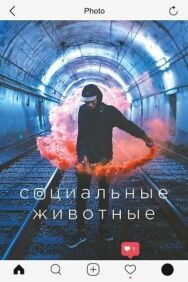 Социальные животные постер к фильму смотреть онлайн на HD Rezka
