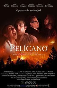 Пеликан постер к фильму смотреть онлайн на HD Rezka