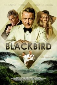 Чёрный дрозд постер к фильму смотреть онлайн на HD Rezka