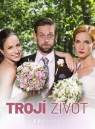 Тройная жизнь постер к фильму смотреть онлайн на HD Rezka