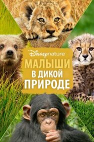 Малыши в дикой природе постер к фильму смотреть онлайн на HD Rezka