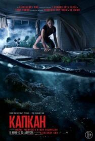 Капкан постер к фильму смотреть онлайн на HD Rezka