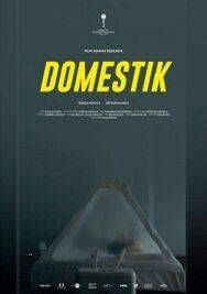 Домашний режим постер к фильму смотреть онлайн на HD Rezka