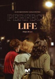 Идеальная жизнь постер к фильму смотреть онлайн на HD Rezka
