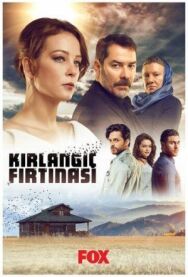 Шторм ласточки постер к фильму смотреть онлайн на HD Rezka