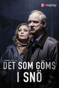 Что спрятано в снегу постер к фильму смотреть онлайн на HD Rezka