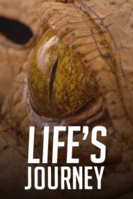 Life's Journey постер к фильму смотреть онлайн на HD Rezka