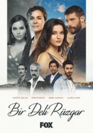 Сумасшедший ветер постер к фильму смотреть онлайн на HD Rezka