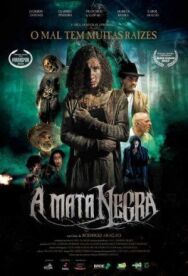Чёрный лес постер к фильму смотреть онлайн на HD Rezka