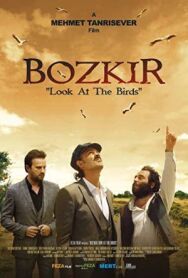 Посмотри на птиц постер к фильму смотреть онлайн на HD Rezka