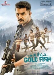 Операция Золотая рыбка постер к фильму смотреть онлайн на HD Rezka