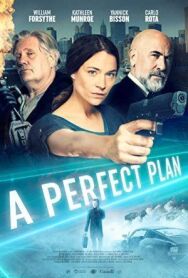 Идеальный план постер к фильму смотреть онлайн на HD Rezka