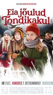 Рождество Эйи в Лесу призрачной совы постер к фильму смотреть онлайн на HD Rezka