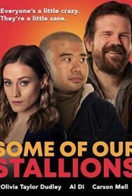 Кое-кто из наших жеребцов постер к фильму смотреть онлайн на HD Rezka