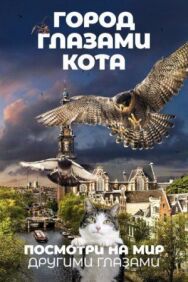 Город глазами кота постер к фильму смотреть онлайн на HD Rezka