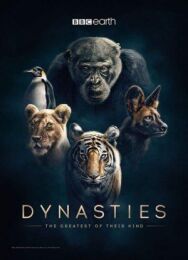 Династии постер к фильму смотреть онлайн на HD Rezka