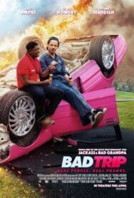 Бэд трип постер к фильму смотреть онлайн на HD Rezka