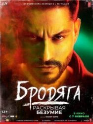 Бродяга: Раскрывая безумие постер к фильму смотреть онлайн на HD Rezka