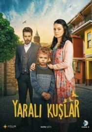 Раненые птицы постер к фильму смотреть онлайн на HD Rezka