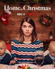 Домой на Рождество постер к фильму смотреть онлайн на HD Rezka