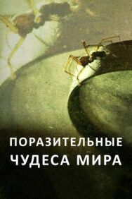 Поразительные чудеса мира постер к фильму смотреть онлайн на HD Rezka