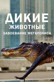 Дикие животные: Завоевание мегаполиса постер к фильму смотреть онлайн на HD Rezka