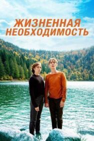 Пердрикс постер к фильму смотреть онлайн на HD Rezka