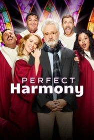 Идеальная гармония постер к фильму смотреть онлайн на HD Rezka