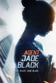 Агент Джейд Блэк постер к фильму смотреть онлайн на HD Rezka