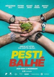 Ограбление в Будапеште постер к фильму смотреть онлайн на HD Rezka