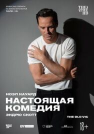 Настоящая комедия постер к фильму смотреть онлайн на HD Rezka