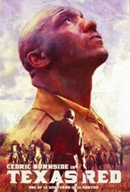 Техасец Ред постер к фильму смотреть онлайн на HD Rezka