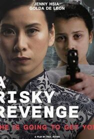 Рискованная месть постер к фильму смотреть онлайн на HD Rezka