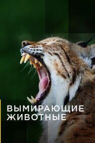 Вымирающие животные постер к фильму смотреть онлайн на HD Rezka