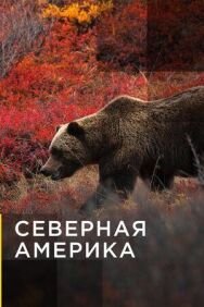 Северная Америка постер к фильму смотреть онлайн на HD Rezka