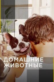 Домашние животные постер к фильму смотреть онлайн на HD Rezka