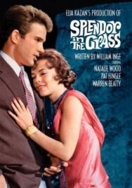 Великолепие в траве постер к фильму смотреть онлайн на HD Rezka