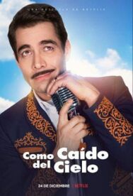 Как упал с небес постер к фильму смотреть онлайн на HD Rezka