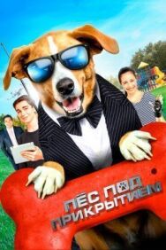 Пес под прикрытием постер к фильму смотреть онлайн на HD Rezka