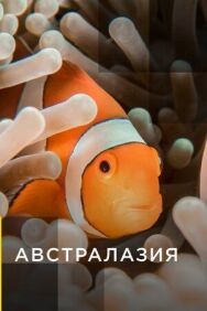 Австралазия постер к фильму смотреть онлайн на HD Rezka