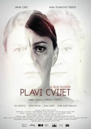 Синий цветок постер к фильму смотреть онлайн на HD Rezka