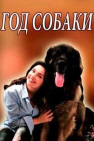 Год собаки постер к фильму смотреть онлайн на HD Rezka