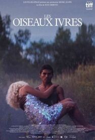 Пьяные пташки постер к фильму смотреть онлайн на HD Rezka