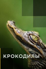Крокодилы постер к фильму смотреть онлайн на HD Rezka